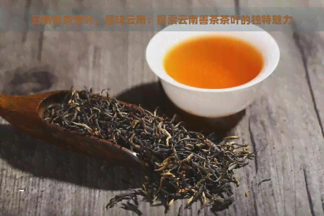 云南善茶茶叶，品味云南：探索云南善茶茶叶的独特魅力