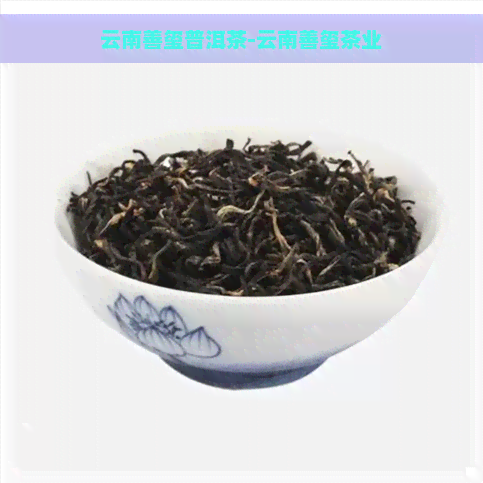 云南善玺普洱茶-云南善玺茶业