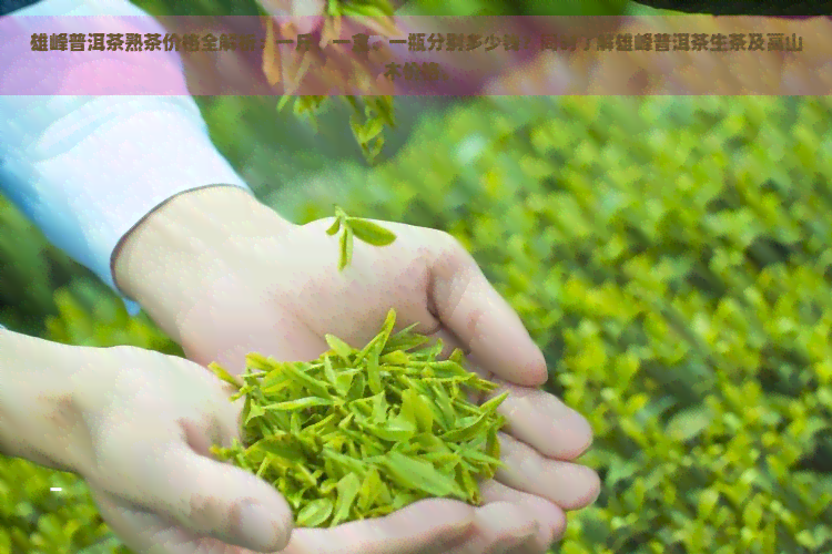 雄峰普洱茶熟茶价格全解析：一斤、一盒、一瓶分别多少钱？同时了解雄峰普洱茶生茶及高山木价格。