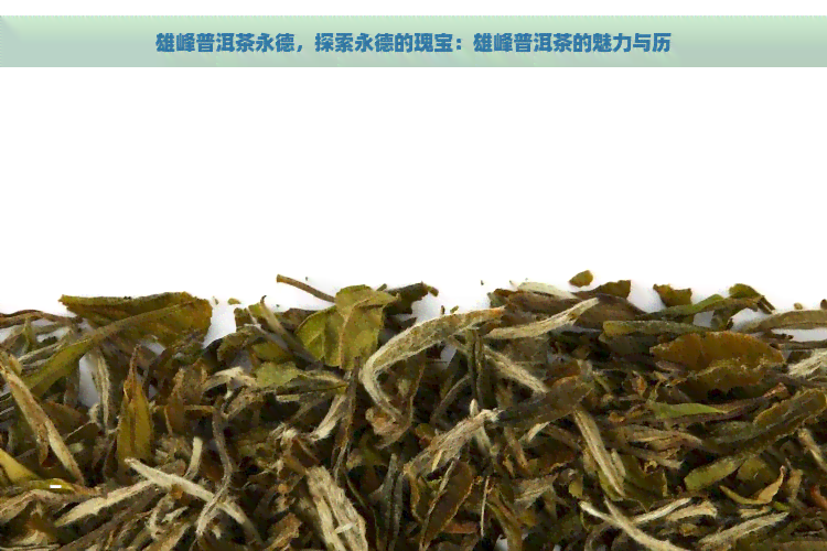 雄峰普洱茶永德，探索永德的瑰宝：雄峰普洱茶的魅力与历