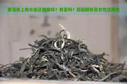 普洱茶上有水垢还能喝吗？有害吗？原因解析及女性适用性