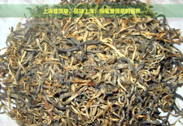 上海普洱茶，品味上海：探索普洱茶的世界