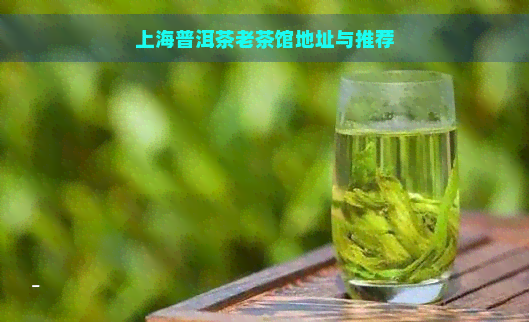 上海普洱茶老茶馆地址与推荐