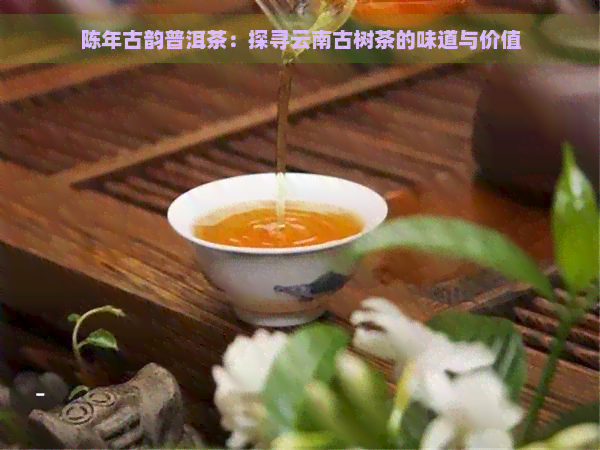 陈年古韵普洱茶：探寻云南古树茶的味道与价值