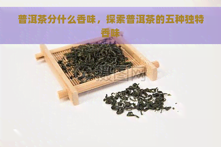 普洱茶分什么香味，探索普洱茶的五种独特香味