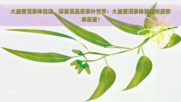 大益普洱茶体验店，探索高品质茶叶世界：大益普洱茶体验店欢迎您来品鉴！