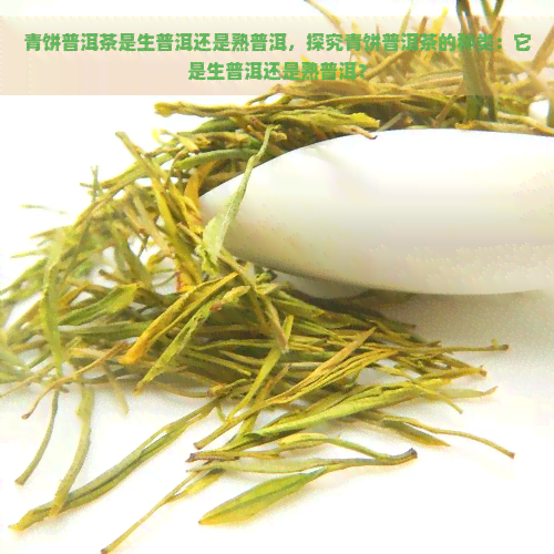 青饼普洱茶是生普洱还是熟普洱，探究青饼普洱茶的种类：它是生普洱还是熟普洱？