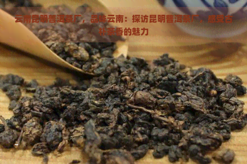 云南昆明普洱茶厂，品味云南：探访昆明普洱茶厂，感受古朴茶香的魅力