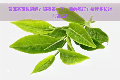 普洱茶可以喝吗？隔夜茶、药、凉的都行？持续多长时间合适？