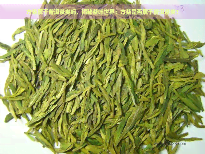 方茶属于普洱茶类吗，揭秘茶叶世界：方茶是否属于普洱茶类？