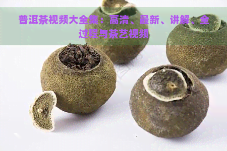 普洱茶视频大全集：高清、最新、讲解、全过程与茶艺视频