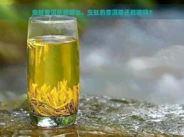 虫蛀普洱茶能喝么，虫蛀的普洱茶还能喝吗？