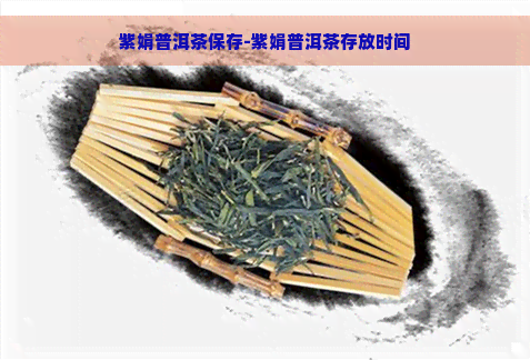 紫娟普洱茶保存-紫娟普洱茶存放时间