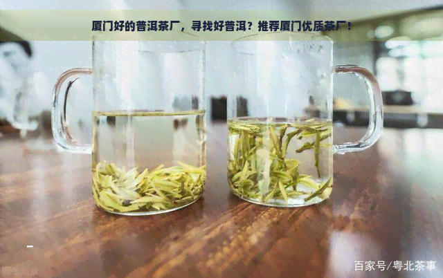 厦门好的普洱茶厂，寻找好普洱？推荐厦门优质茶厂！