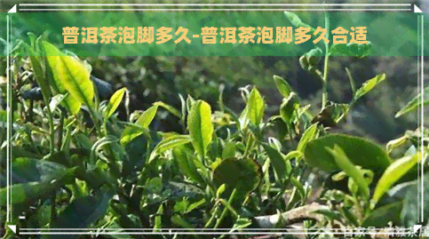 普洱茶泡脚多久-普洱茶泡脚多久合适