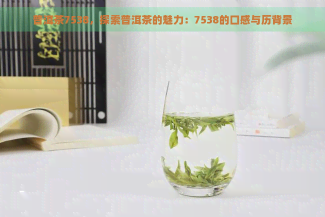 普洱茶7538，探索普洱茶的魅力：7538的口感与历背景