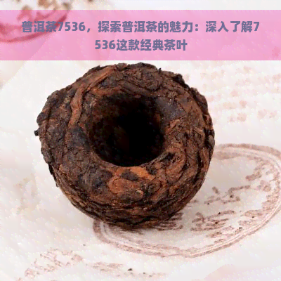 普洱茶7536，探索普洱茶的魅力：深入了解7536这款经典茶叶