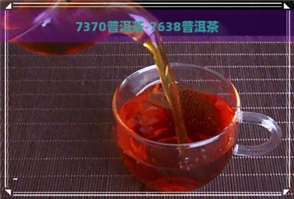 7370普洱茶-7638普洱茶