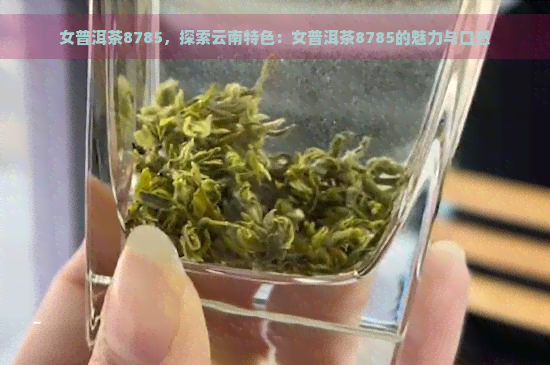 女普洱茶8785，探索云南特色：女普洱茶8785的魅力与口感