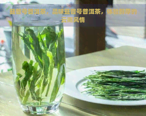 益普号普洱茶，品味益普号普洱茶，体验醇厚的云南风情