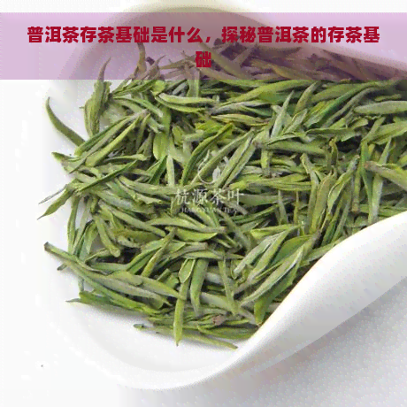 普洱茶存茶基础是什么，探秘普洱茶的存茶基础