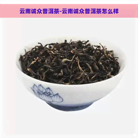 云南诚众普洱茶-云南诚众普洱茶怎么样