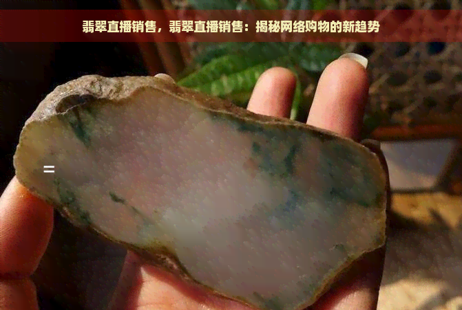 翡翠直播销售，翡翠直播销售：揭秘网络购物的新趋势