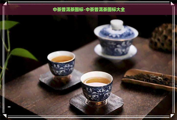 中茶普洱茶图标-中茶普洱茶图标大全