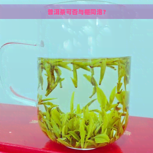 普洱茶可否与椹同泡？