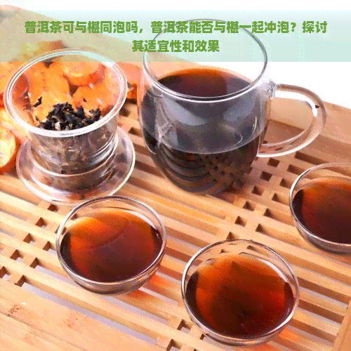 普洱茶可与椹同泡吗，普洱茶能否与椹一起冲泡？探讨其适宜性和效果