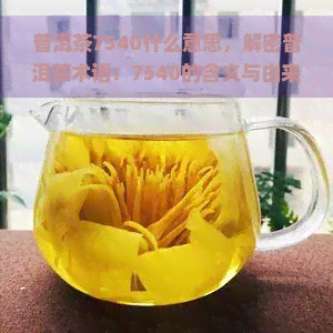 普洱茶7540什么意思，解密普洱茶术语：7540的含义与由来