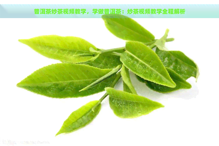 普洱茶炒茶视频教学，学做普洱茶：炒茶视频教学全程解析