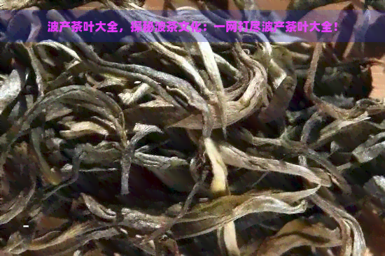 波产茶叶大全，探秘波茶文化：一网打尽波产茶叶大全！