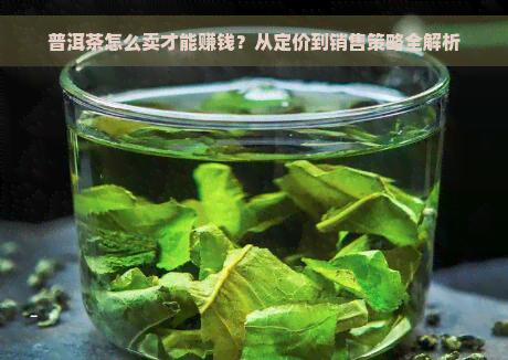 普洱茶怎么卖才能赚钱？从定价到销售策略全解析