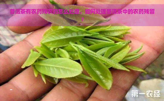 普洱茶有农药残农药怎么处理，如何处理普洱茶中的农药残留？