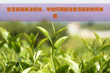 普洱茶碗喝法视频，学如何用碗泡普洱茶的视频教程