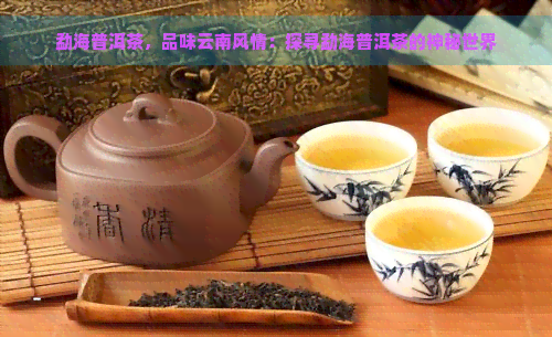 勐海普洱茶，品味云南风情：探寻勐海普洱茶的神秘世界