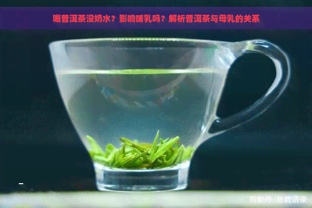 喝普洱茶没奶水？影响哺乳吗？解析普洱茶与母乳的关系