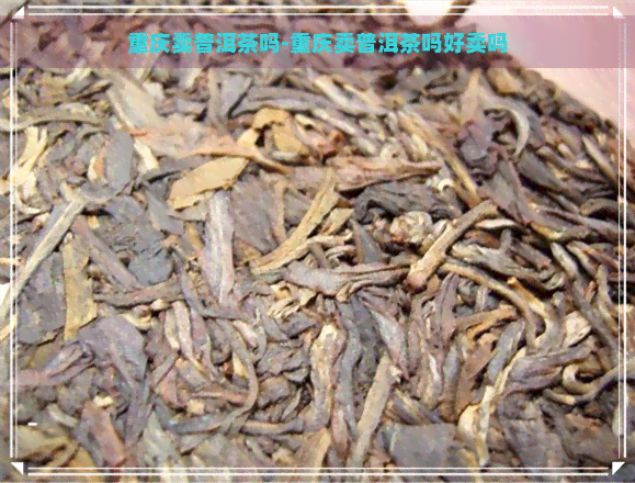 重庆卖普洱茶吗-重庆卖普洱茶吗好卖吗