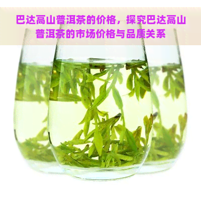 巴达高山普洱茶的价格，探究巴达高山普洱茶的市场价格与品质关系