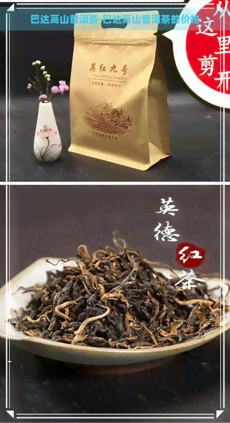 巴达高山普洱茶-巴达高山普洱茶的价格