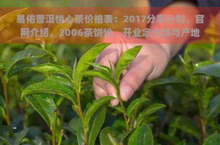 易佑普洱悦心茶价格表：2017分享计划、官网介绍、2006茶饼价、开业念大饼与产地