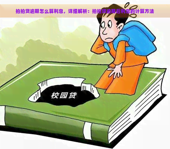 逾期怎么算利息，详细解析：逾期后利息的计算方法