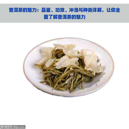 普洱茶的魅力：品鉴、功效、冲泡与种类详解，让你全面了解普洱茶的魅力