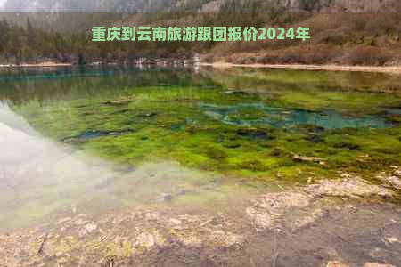 重庆到云南旅游跟团报价2024年