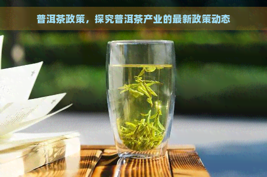 普洱茶政策，探究普洱茶产业的最新政策动态