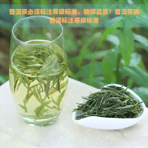 普洱茶必须标注等级标准，确保品质！普洱茶销售须标注等级标准