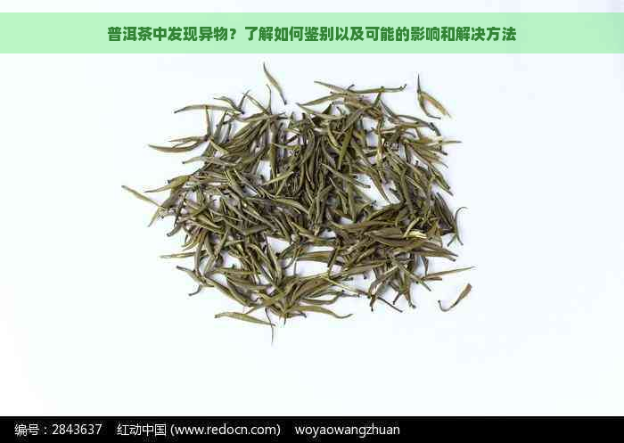 普洱茶中发现异物？了解如何鉴别以及可能的影响和解决方法