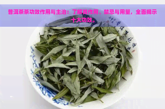 普洱茶茶功效作用与主治：了解其作用、禁忌与用量，全面揭示十大功效。