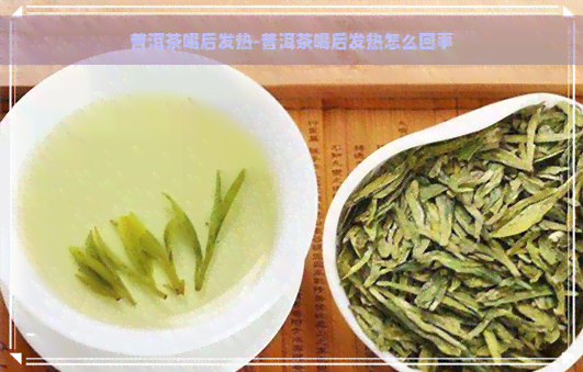 普洱茶喝后发热-普洱茶喝后发热怎么回事